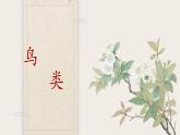 七年级上册生物人教版（2024）《2.2.2脊椎动物——鸟类》课件