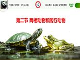 初中  生物  人教版（2024）  七年级上册（2024）第二节 脊椎动物 课件