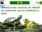 初中  生物  人教版（2024）  七年级上册（2024）第二节 脊椎动物 课件