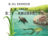 初中  生物  人教版（2024）  七年级上册（2024）第二节 脊椎动物 课件