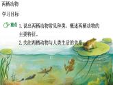 初中  生物  人教版（2024）  七年级上册（2024）第二节 脊椎动物 课件