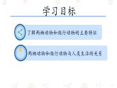 初中  生物  人教版（2024）  七年级上册（2024）第二节 脊椎动物 课件