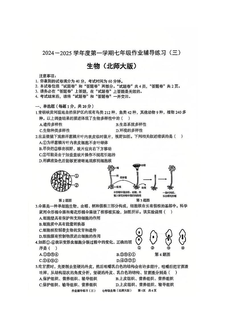 安徽省淮北市部分学校2024-2025学年七年级上学期12月（月考三）生物试题第1页