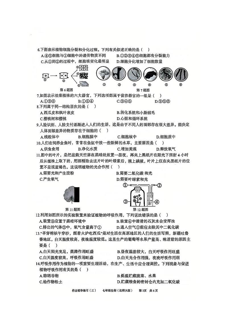 安徽省淮北市部分学校2024-2025学年七年级上学期12月（月考三）生物试题第2页