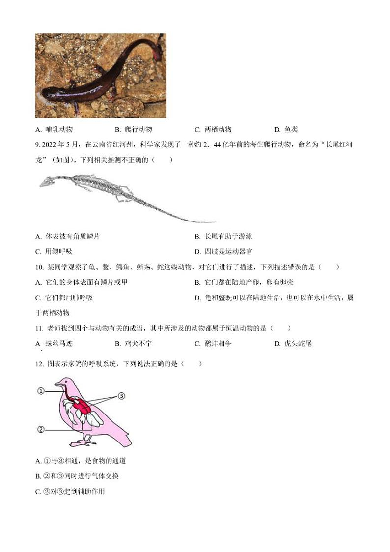 2024～2025学年广东省汕头市八年级(上)12月月考生物试卷(含答案)第2页