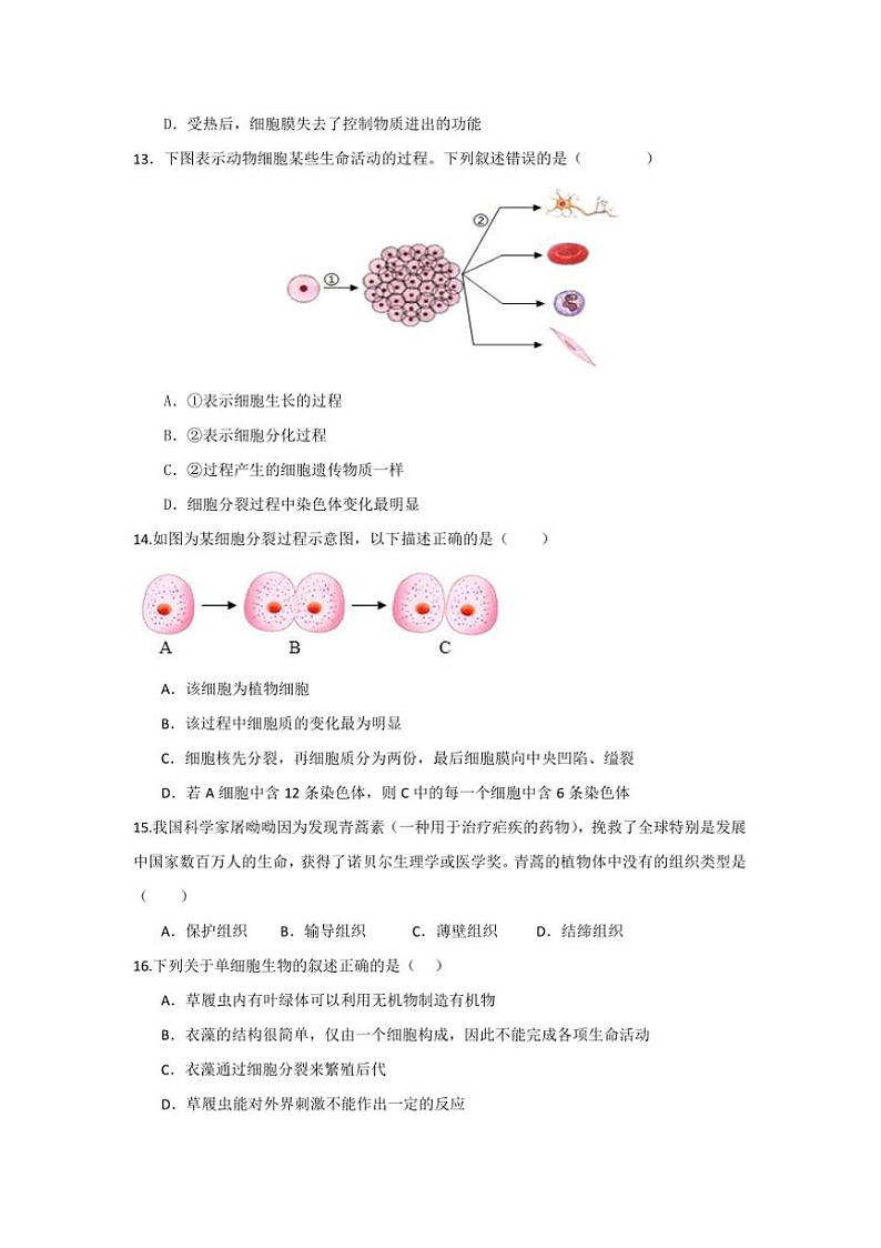 2024～2025学年湖南省永州市零陵区七年级(上)12月月考生物试卷(含答案)第3页