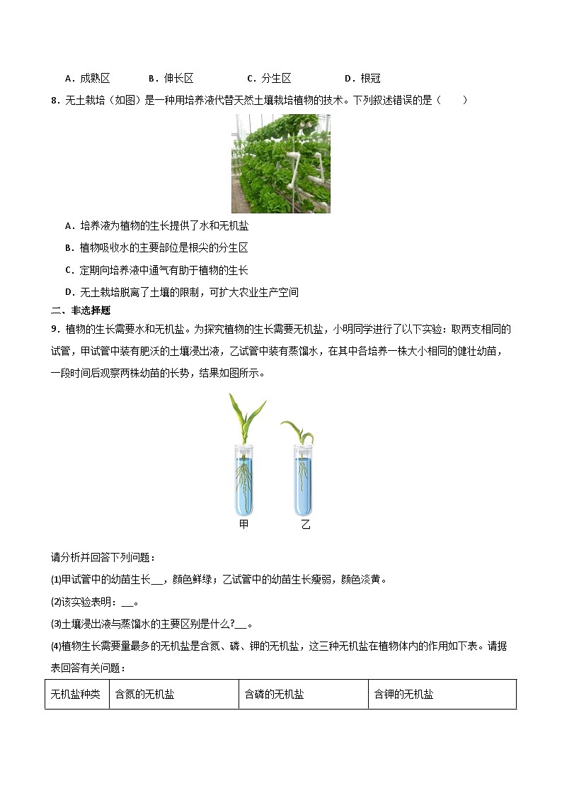 3.1.1 种子的萌发（分层作业）（原卷版）第2页