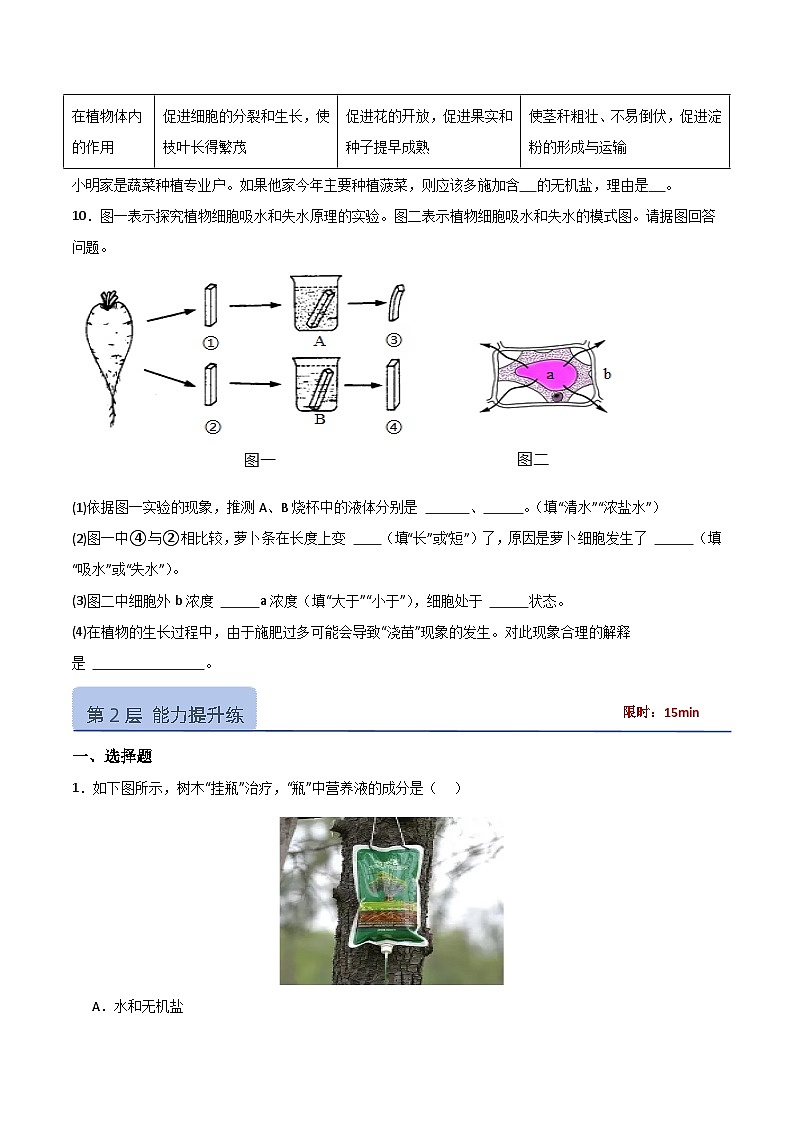 3.1.1 种子的萌发（分层作业）（原卷版）第3页