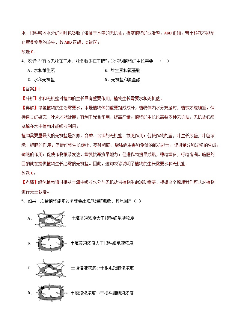 3.1.1 种子的萌发（分层作业）（解析版）第2页