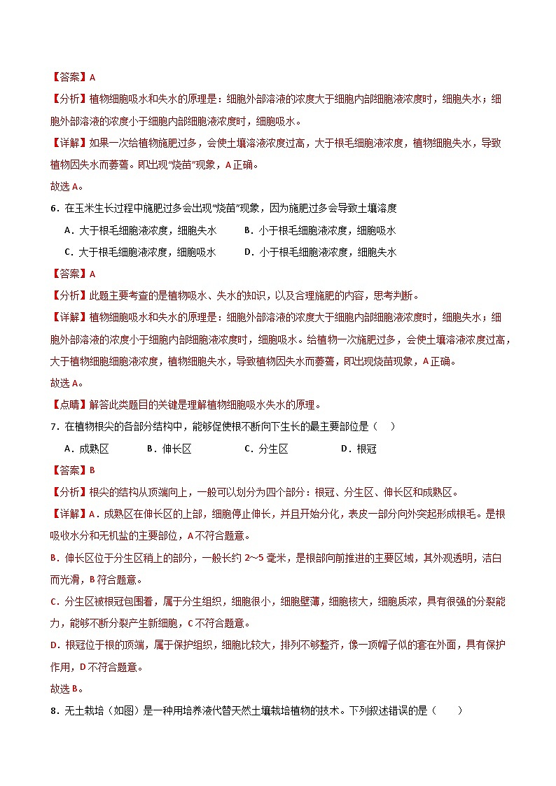 3.1.1 种子的萌发（分层作业）（解析版）第3页