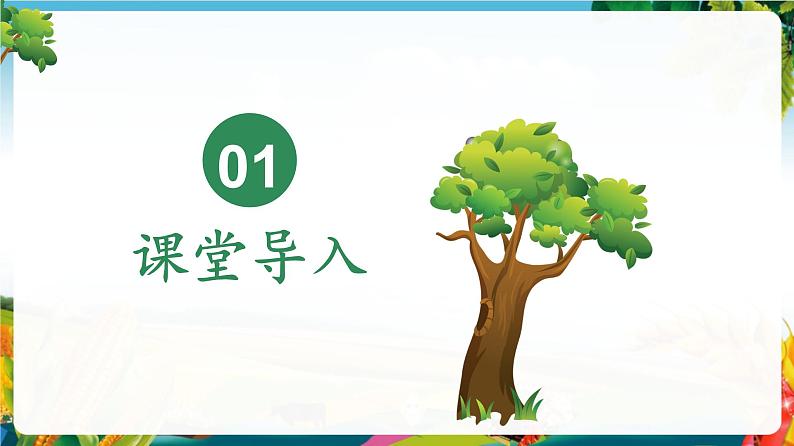 3.1.1 种子的萌发（课件）第2页