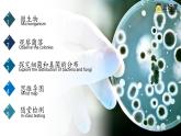 初中  生物  人教版（2024）  七年級上冊（2024）第一節(jié) 微生物的分布 課件