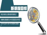 初中  生物  人教版（2024）  七年級上冊（2024）第一節(jié) 微生物的分布 課件
