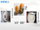 初中  生物  人教版（2024）  七年級上冊（2024）第一節(jié) 微生物的分布 課件