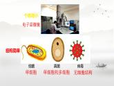 初中  生物  人教版（2024）  七年級上冊（2024）第一節(jié) 微生物的分布 課件