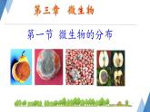 初中  生物  人教版（2024）  七年級上冊（2024）第一節(jié) 微生物的分布 課件