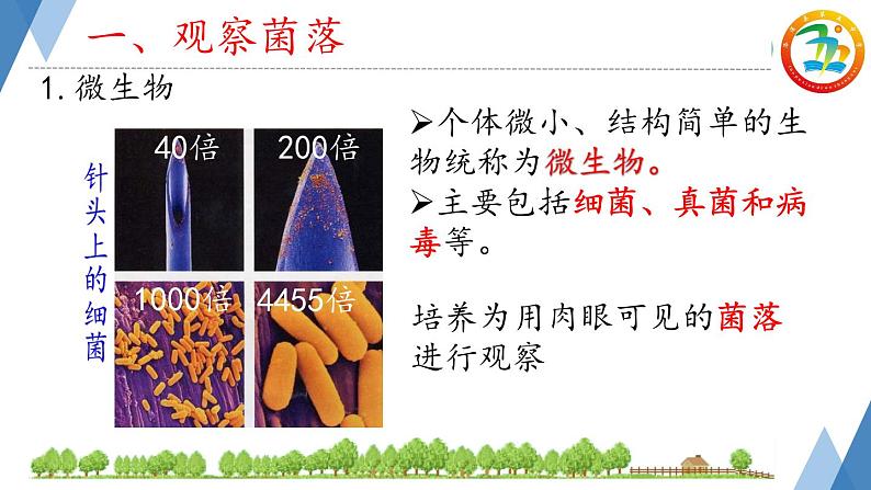 初中  生物  人教版（2024）  七年级上册（2024）第一节 微生物的分布 课件第3页