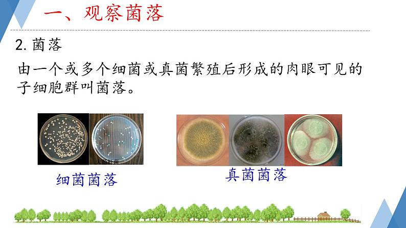 初中  生物  人教版（2024）  七年级上册（2024）第一节 微生物的分布 课件第4页