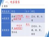 初中  生物  人教版（2024）  七年級上冊（2024）第一節(jié) 微生物的分布 課件