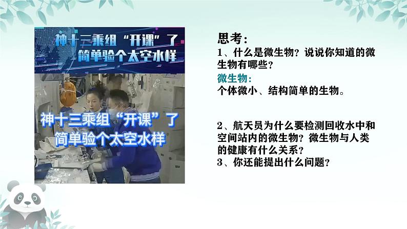 初中  生物  人教版（2024）  七年级上册（2024）第一节 微生物的分布 课件第3页