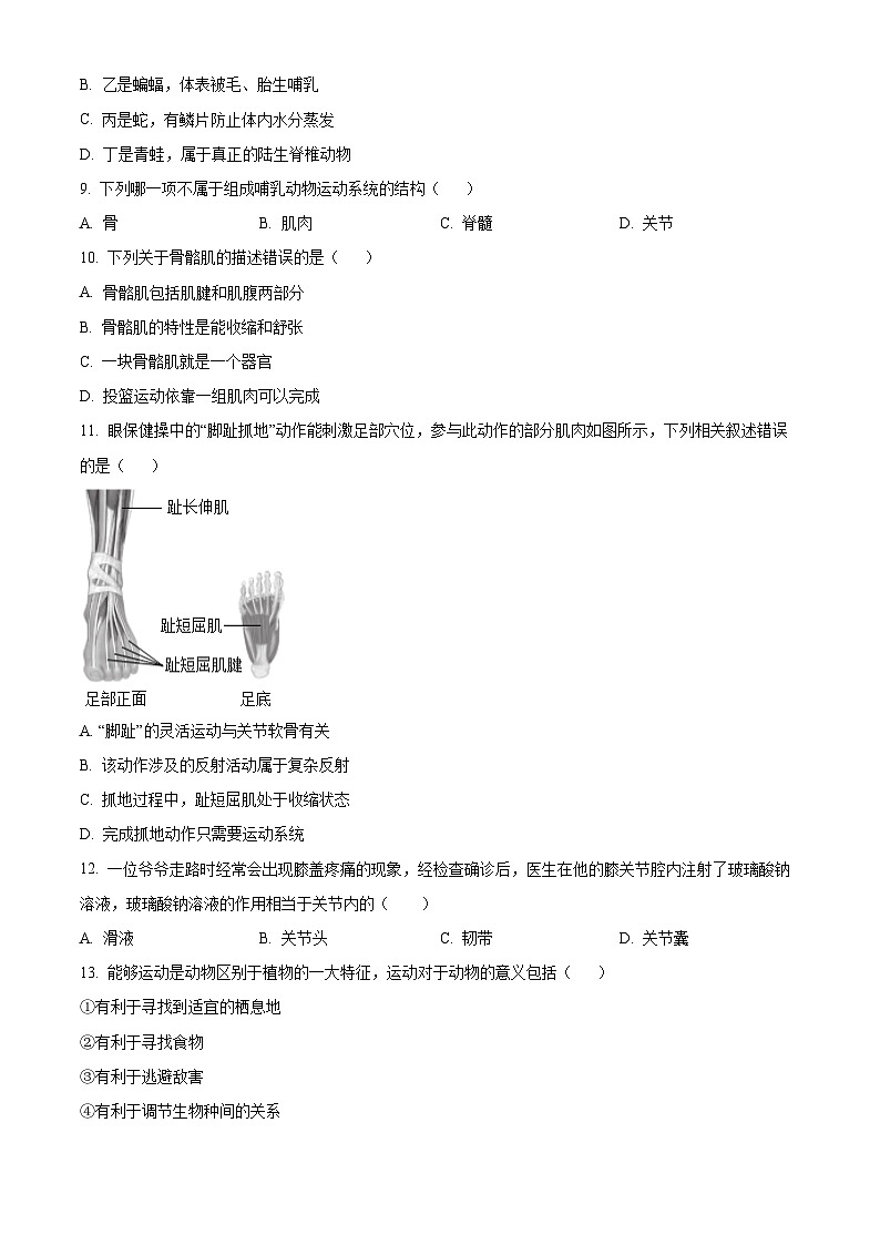 2024年人教版八年级期末生物试题（Word版，附答案）第3页