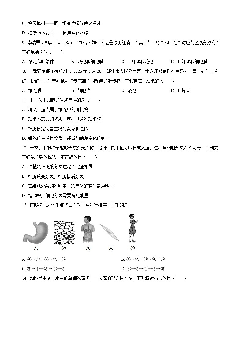 2024年人教版七年级期末生物试题（Word版，附答案）第3页
