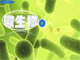 初中  生物  人教版（2024）  七年級上冊（2024）第一節(jié) 微生物的分布 課件