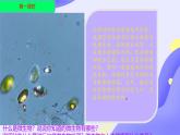 初中  生物  人教版（2024）  七年級上冊（2024）第一節(jié) 微生物的分布 課件