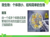 初中  生物  人教版（2024）  七年級上冊（2024）第一節(jié) 微生物的分布 課件