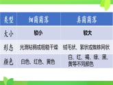 初中  生物  人教版（2024）  七年級上冊（2024）第一節(jié) 微生物的分布 課件