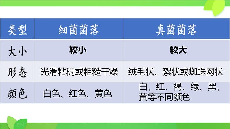 初中  生物  人教版（2024）  七年级上册（2024）第一节 微生物的分布 课件第4页