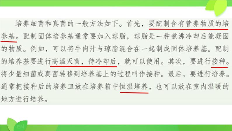 初中  生物  人教版（2024）  七年级上册（2024）第一节 微生物的分布 课件第5页