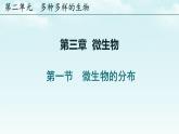 初中  生物  人教版（2024）  七年級上冊（2024）第一節(jié) 微生物的分布 課件