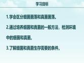 初中  生物  人教版（2024）  七年級上冊（2024）第一節(jié) 微生物的分布 課件