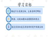 初中  生物  人教版（2024）  七年級上冊（2024）第一節(jié) 微生物的分布 課件