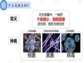 初中  生物  人教版（2024）  七年級上冊（2024）第一節(jié) 微生物的分布 課件