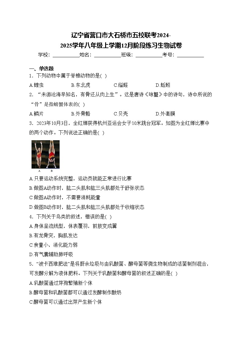 辽宁省营口市大石桥市五校联考2024-2025学年八年级上学期12月阶段练习生物试卷(含答案)第1页