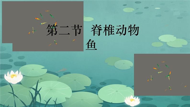 初中  生物  人教版（2024）  七年级上册（2024）第二节 脊椎动物 课件第1页