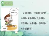 初中  生物  人教版（2024）  七年级上册（2024）第二节 脊椎动物 课件