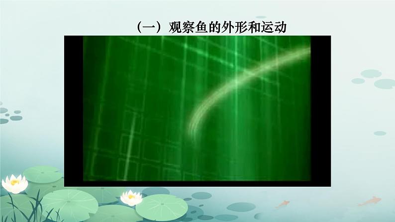 初中  生物  人教版（2024）  七年级上册（2024）第二节 脊椎动物 课件第8页