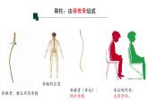 初中  生物  人教版（2024）  七年级上册（2024）第二节 脊椎动物 课件