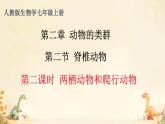 初中  生物  人教版（2024）  七年级上册（2024）第二节 脊椎动物 课件