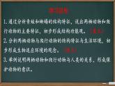初中  生物  人教版（2024）  七年级上册（2024）第二节 脊椎动物 课件