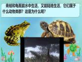 初中  生物  人教版（2024）  七年级上册（2024）第二节 脊椎动物 课件