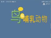 初中  生物  人教版（2024）  七年级上册（2024）第二节 脊椎动物 课件