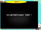 初中  生物  人教版（2024）  七年级上册（2024）第二节 脊椎动物 课件