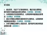 初中  生物  人教版（2024）  七年级上册（2024）第二节 脊椎动物 课件