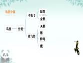 初中  生物  人教版（2024）  七年级上册（2024）第二节 脊椎动物 课件