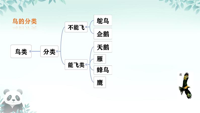 初中  生物  人教版（2024）  七年级上册（2024）第二节 脊椎动物 课件第4页