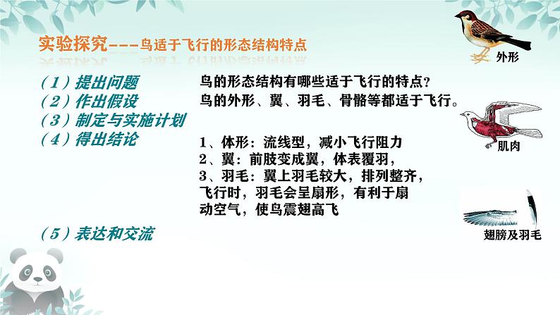 初中  生物  人教版（2024）  七年级上册（2024）第二节 脊椎动物 课件第6页